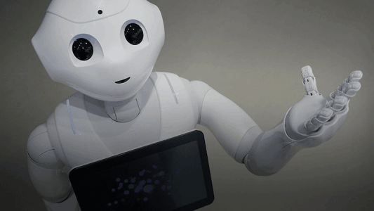 在线客服系统,米糠云